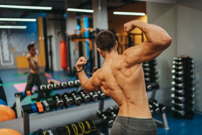 Somatropine Stéroïdes pour la musculation